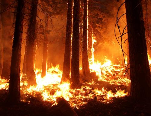 Service opérationnel d’aide à la lutte tactique contre les feux de forêt